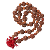 Rudraksha