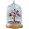 Crystal Dome Trees