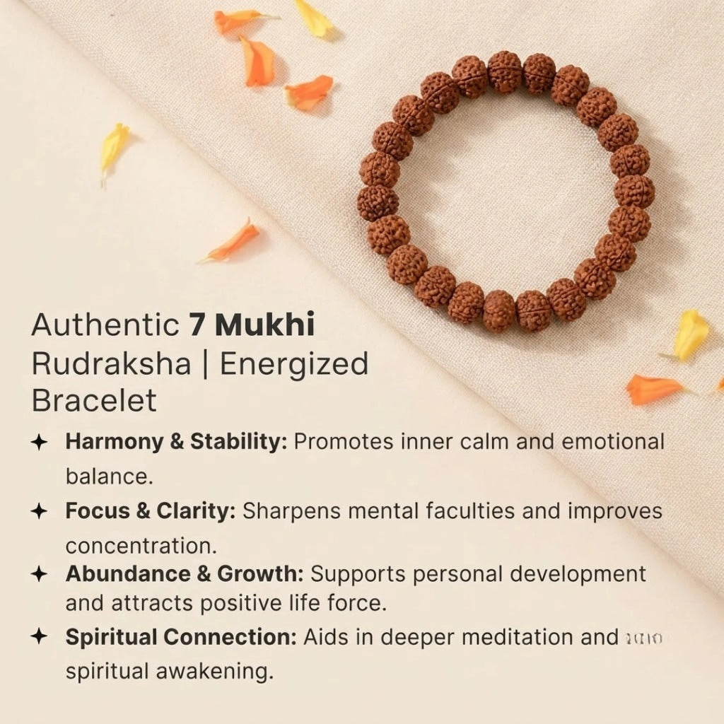 7 Mukhi Rudraksha Bracelet