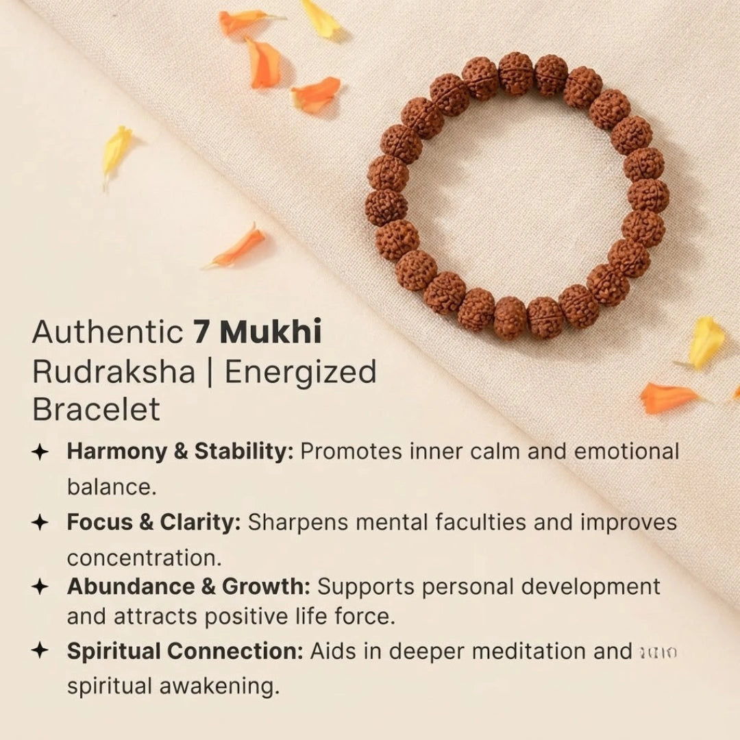 7 Mukhi Rudraksha Bracelet