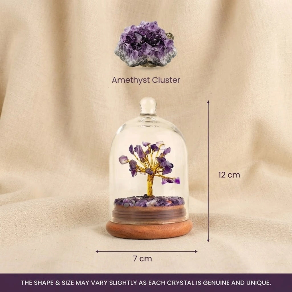 Amethyst Dome Tree