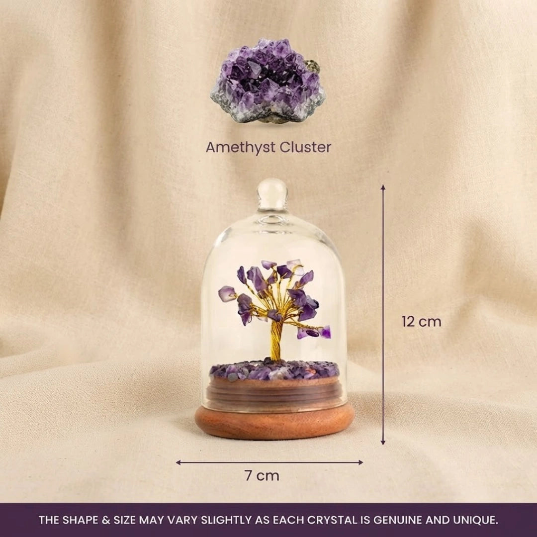 Amethyst Dome Tree