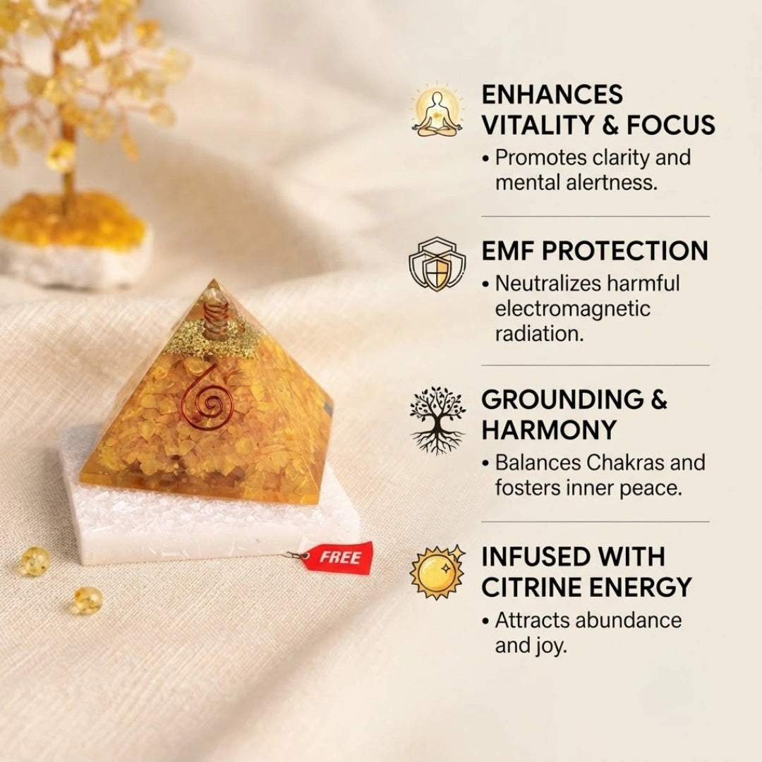 Citrine Pyramid with Free Raw