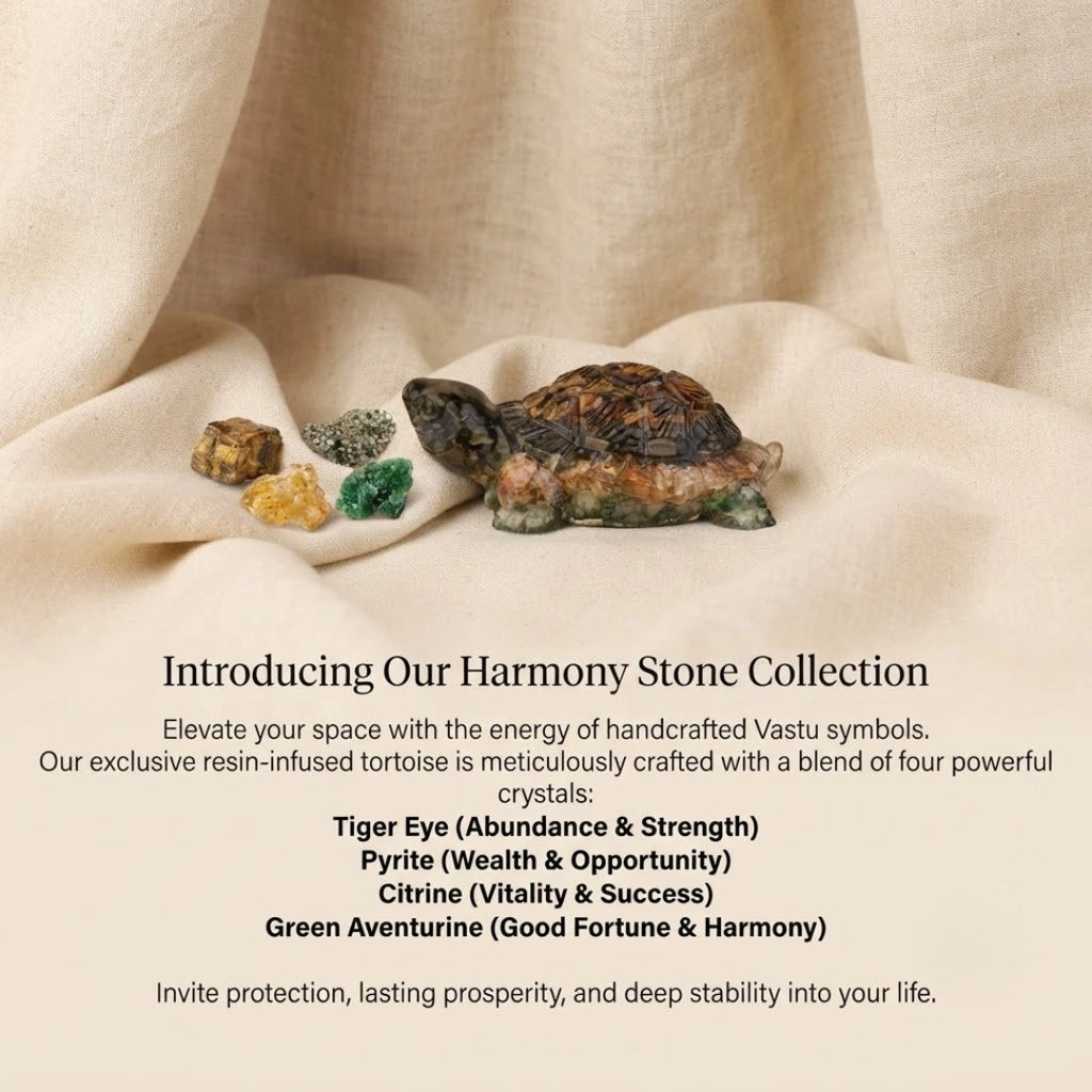 Collector Edition Vastu Dhan Yog Tortoise