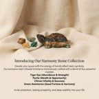 Collector Edition Vastu Dhan Yog Tortoise