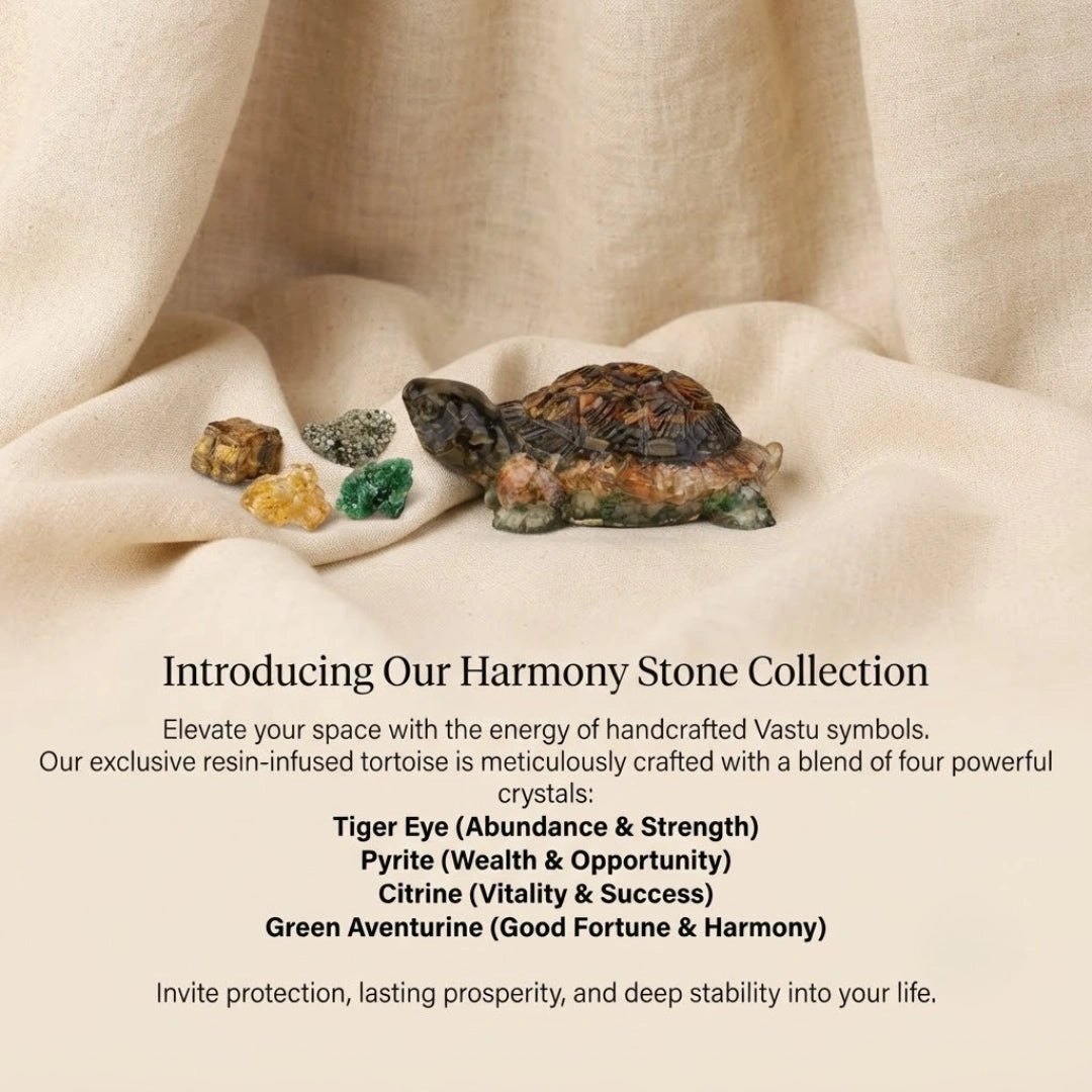 Collector Edition Vastu Dhan Yog Tortoise