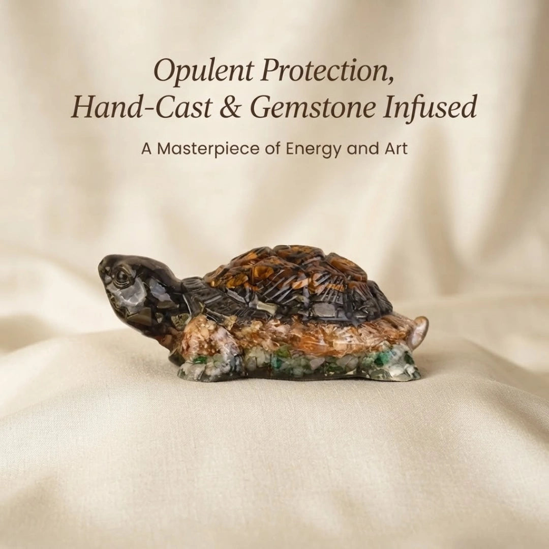 Collector Edition Vastu Dhan Yog Tortoise