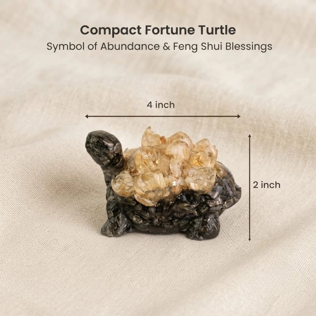 Dhan Labh Tortoise