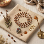Divya Shankh Rudraksha Mala