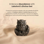 Pyrite Owl