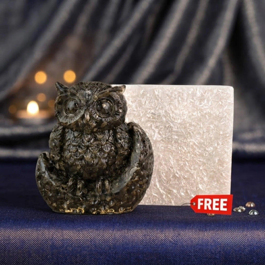 Pyrite Owl with Free Square Selenite