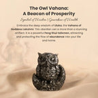 Pyrite Owl with Free Square Selenite