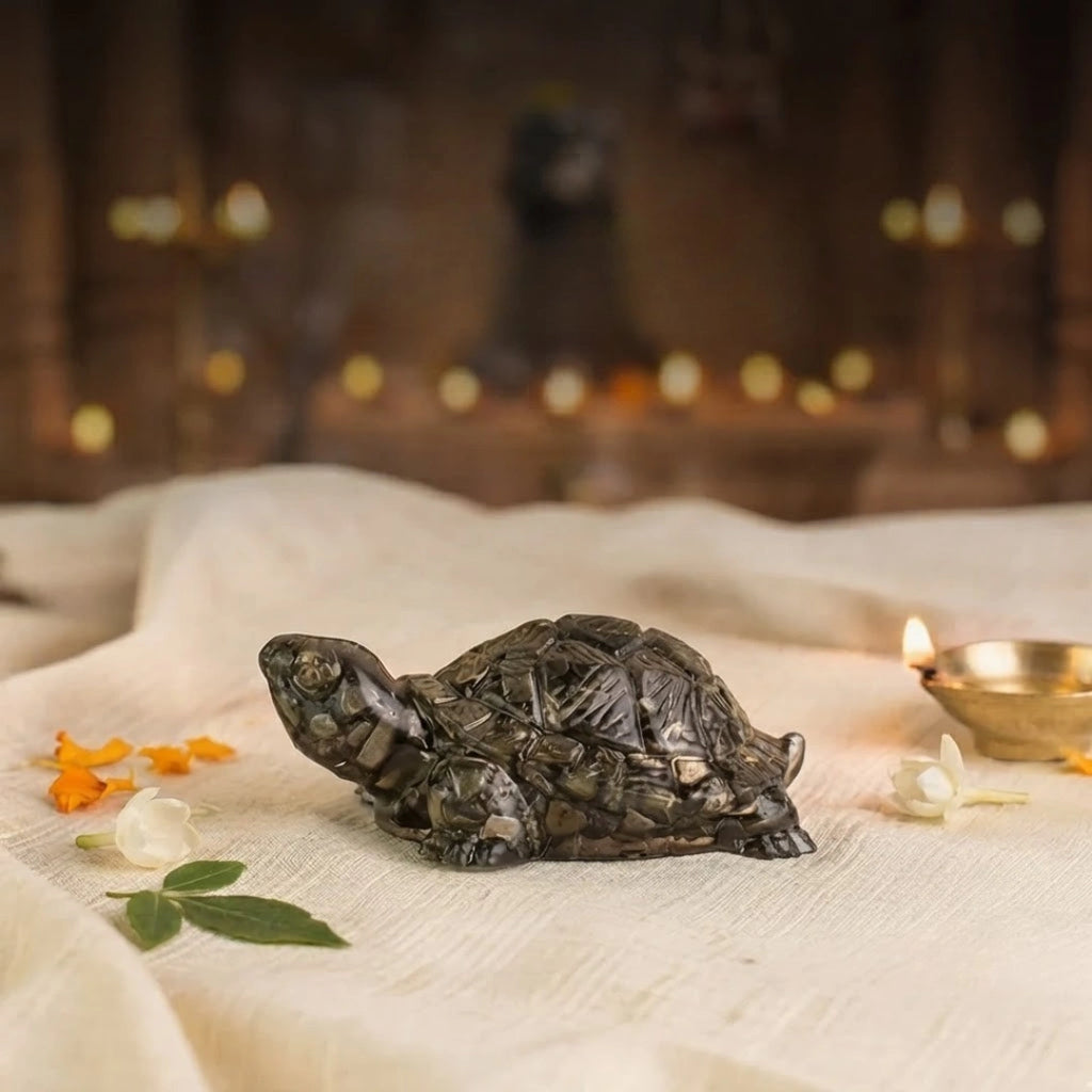 Rinmukteshwar Siddh Pyrite Tortoise