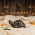 Rinmukteshwar Siddh Pyrite Tortoise