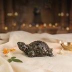 Rinmukteshwar Siddh Pyrite Tortoise
