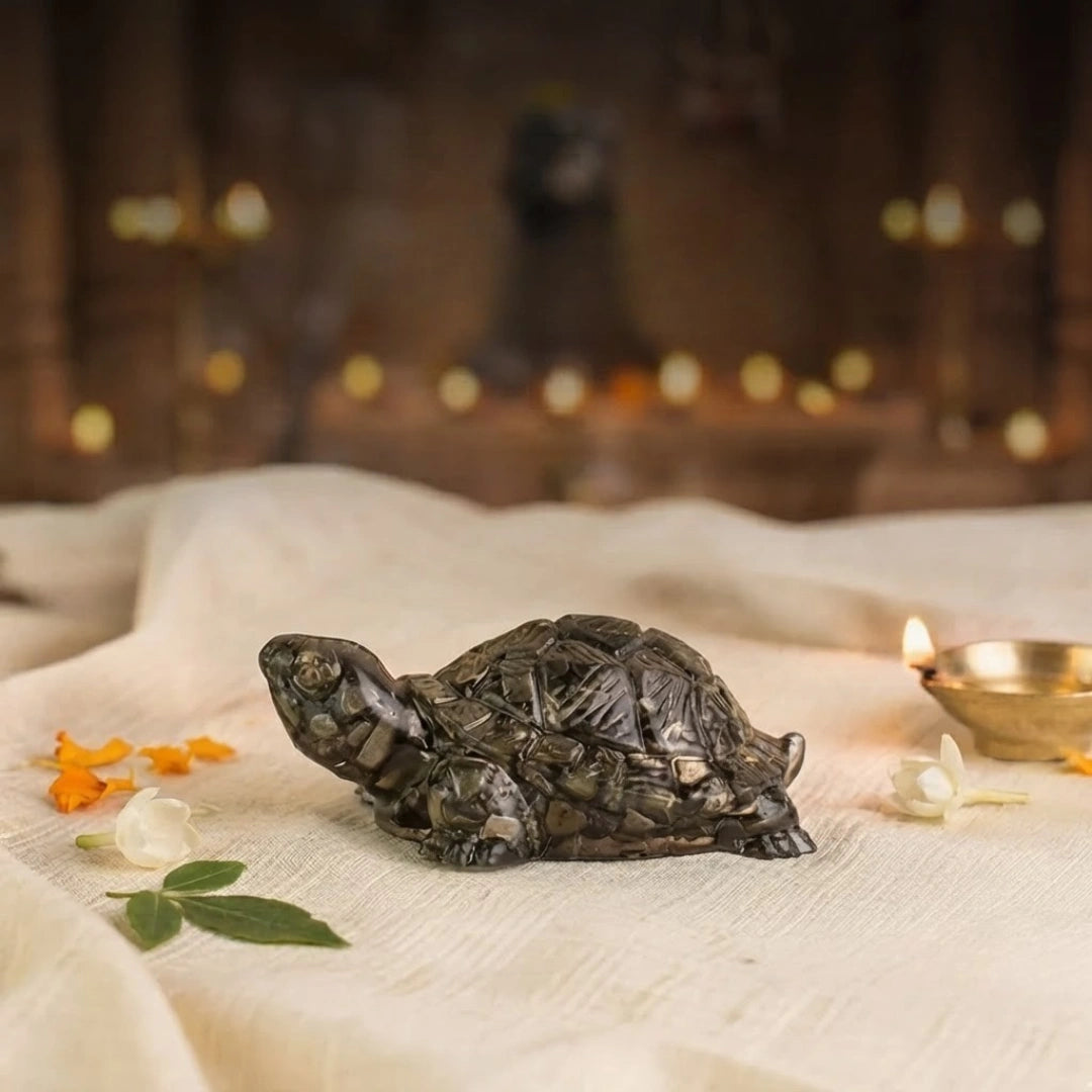 Rinmukteshwar Siddh Pyrite Tortoise
