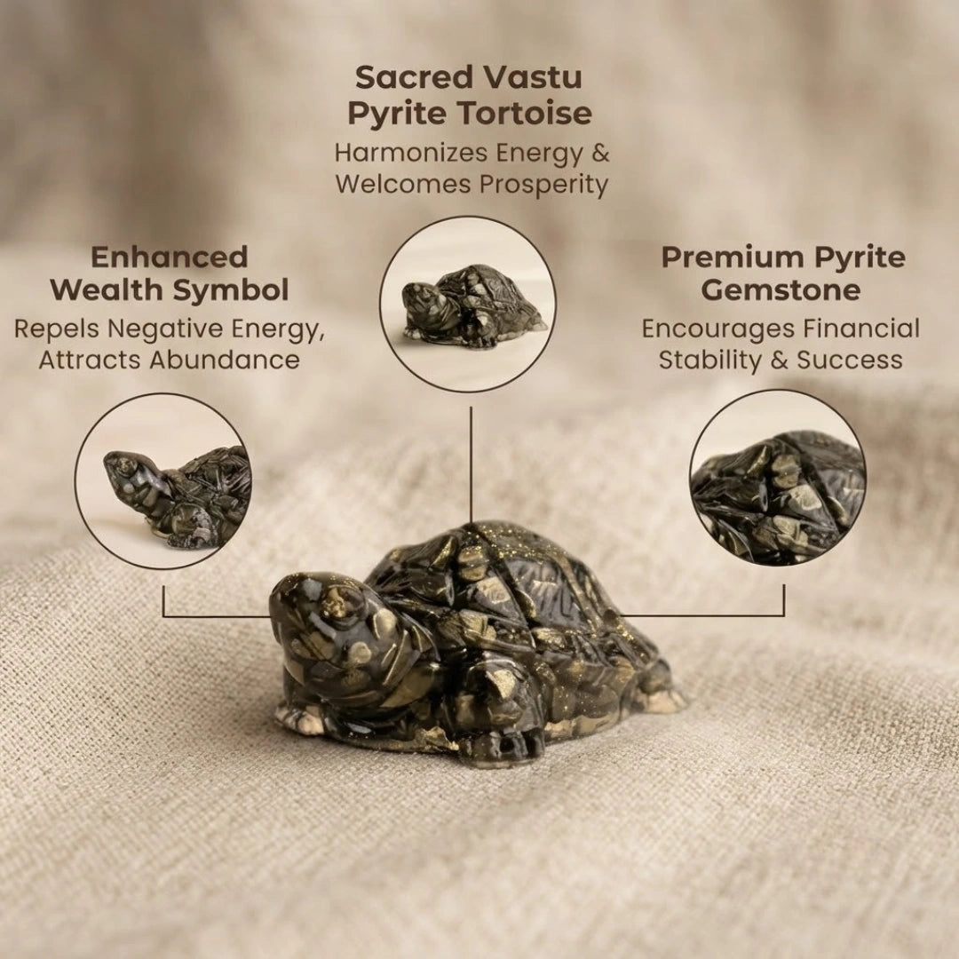 Rinmukteshwar Siddh Pyrite Tortoise