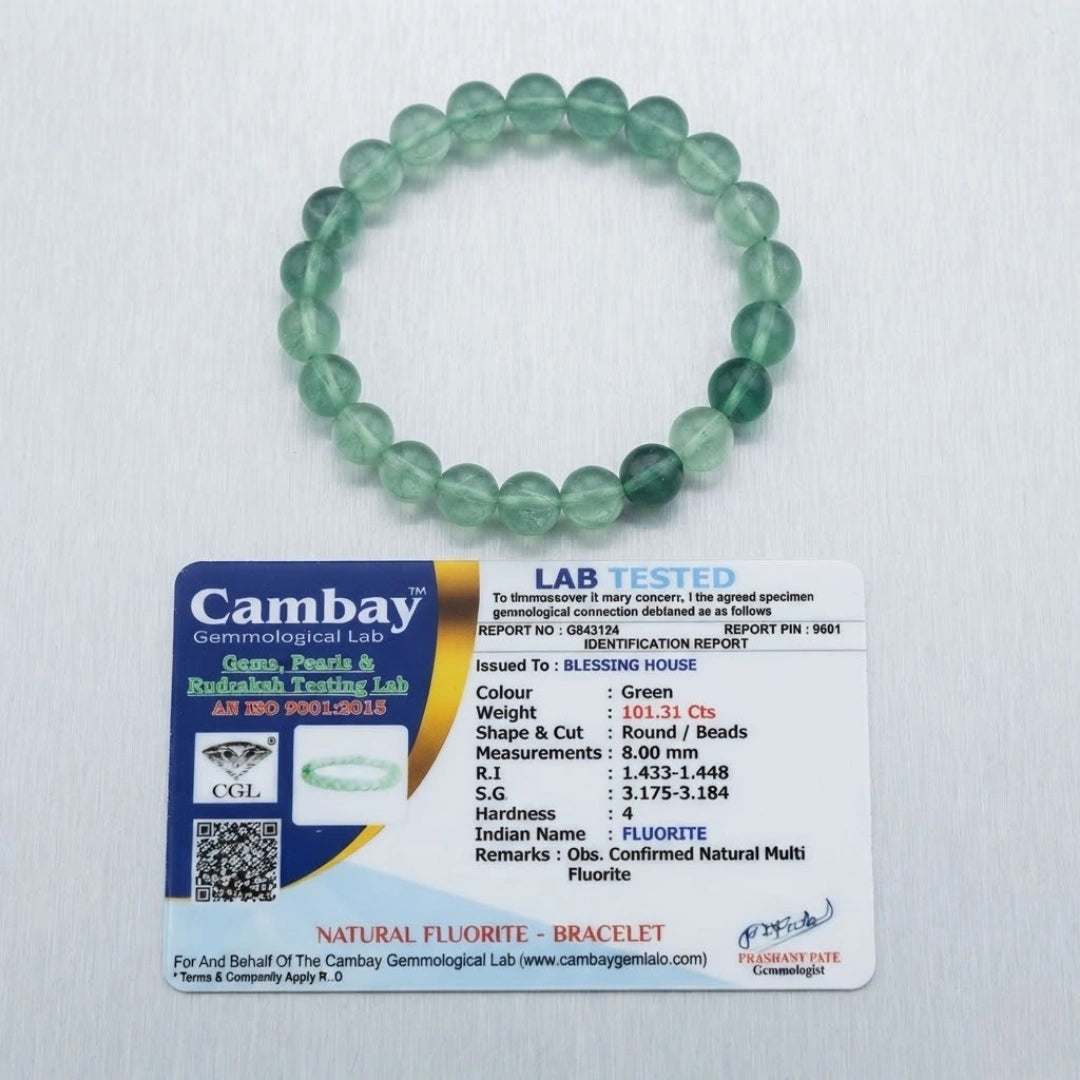 Bracelet 17